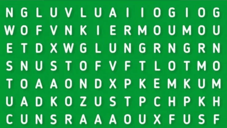 EL 98% NO PUDO: descubre la palabra EXCEL en la sopa de letras