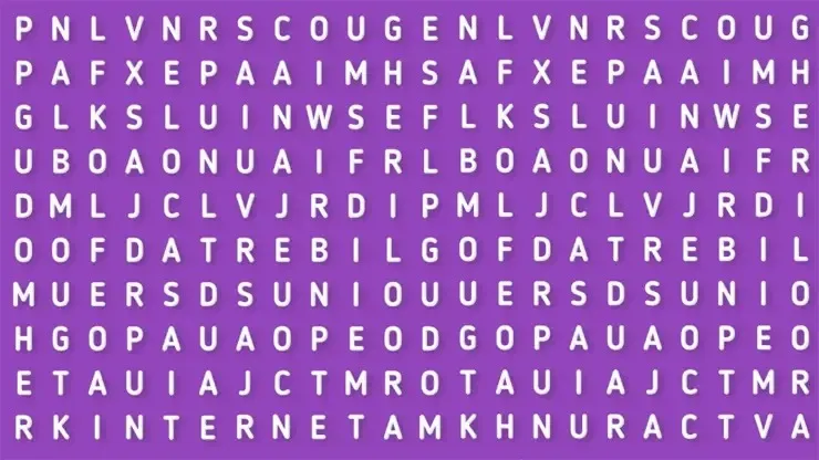 Sólo para HACKERS: descubre la palabra INTERNET en la sopa de letras