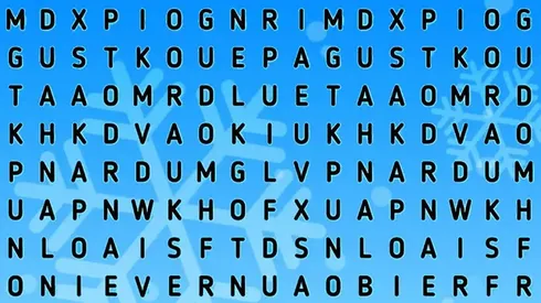 ATENCIÓN TEAM INVIERNO: encuentra la palabra NIEVE en 6 segundos