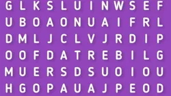 Sólo para SOLIDARIOS: encuentra la palabra ROJO en 4 segundos