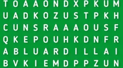 EK 99% NO PUDO: descubre la palabra ARDILLA en la sopa de letras