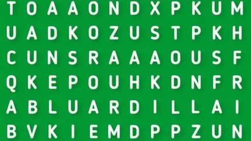 EK 99% NO PUDO: descubre la palabra ARDILLA en la sopa de letras