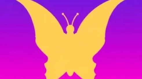 ¿Ves la mariposa? Descubre QUÉ SIGNIFICA para ti