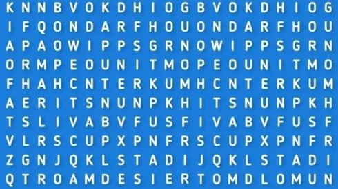 Solo para FANÁTICOS: descubre la palabra DESIERTO en 6 segundos