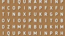 Sopa de letras VIRAL: descubre la palabra RAZA en 10 segundos