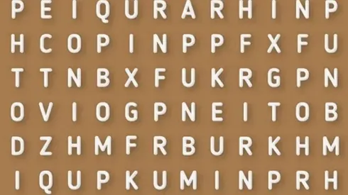 Sopa de letras VIRAL: descubre la palabra RAZA en 10 segundos