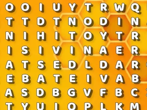 Solo para DETECTIVES: encuentra la palabra ABEJA en 30 segundos