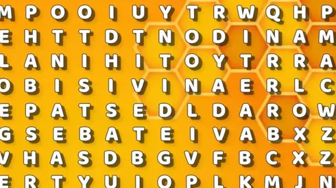 Solo para DETECTIVES: encuentra la palabra ABEJA en 30 segundos