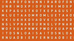 Solo para MENTES PRODIGIO: encuentra la palabra PORTERO en 4 segundos