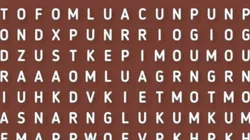 RETO MUNDIAL: encuentra la palabra PARIS en 9 segundos