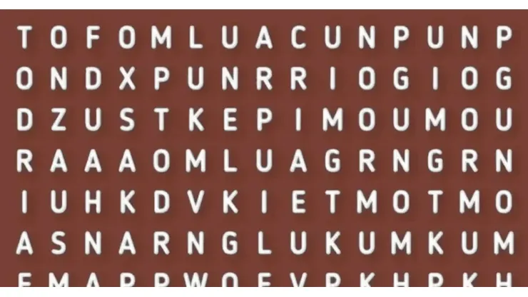 RETO MUNDIAL: encuentra la palabra PARIS en 9 segundos