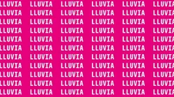 Encuentra la palabra MAL ESCRITA en la imagen en 7 segundos