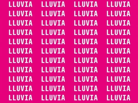 Encuentra la palabra MAL ESCRITA en la imagen en 7 segundos