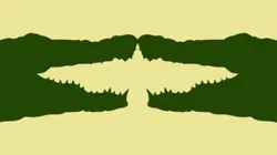 ¿Qué animal ves primero? Descubre tu PEOR DEFECTO