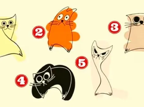 ¿Con qué gato te identificas? Descubre CÓMO ERES EN EL AMOR