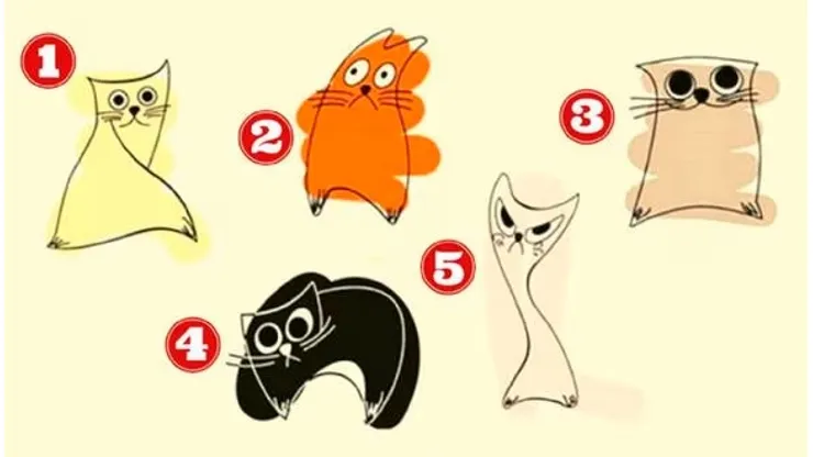 ¿Con qué gato te identificas? Descubre CÓMO ERES EN EL AMOR