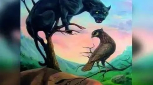 Descubre CÓMO TE VEN LOS DEMÁS según lo que veas en la imagen