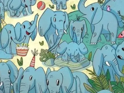 Solo para OBSERVADORES: encuentra al RINOCERONTE INTRUSO en 20 segundos