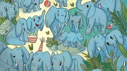 Solo para OBSERVADORES: encuentra al RINOCERONTE INTRUSO en 20 segundos