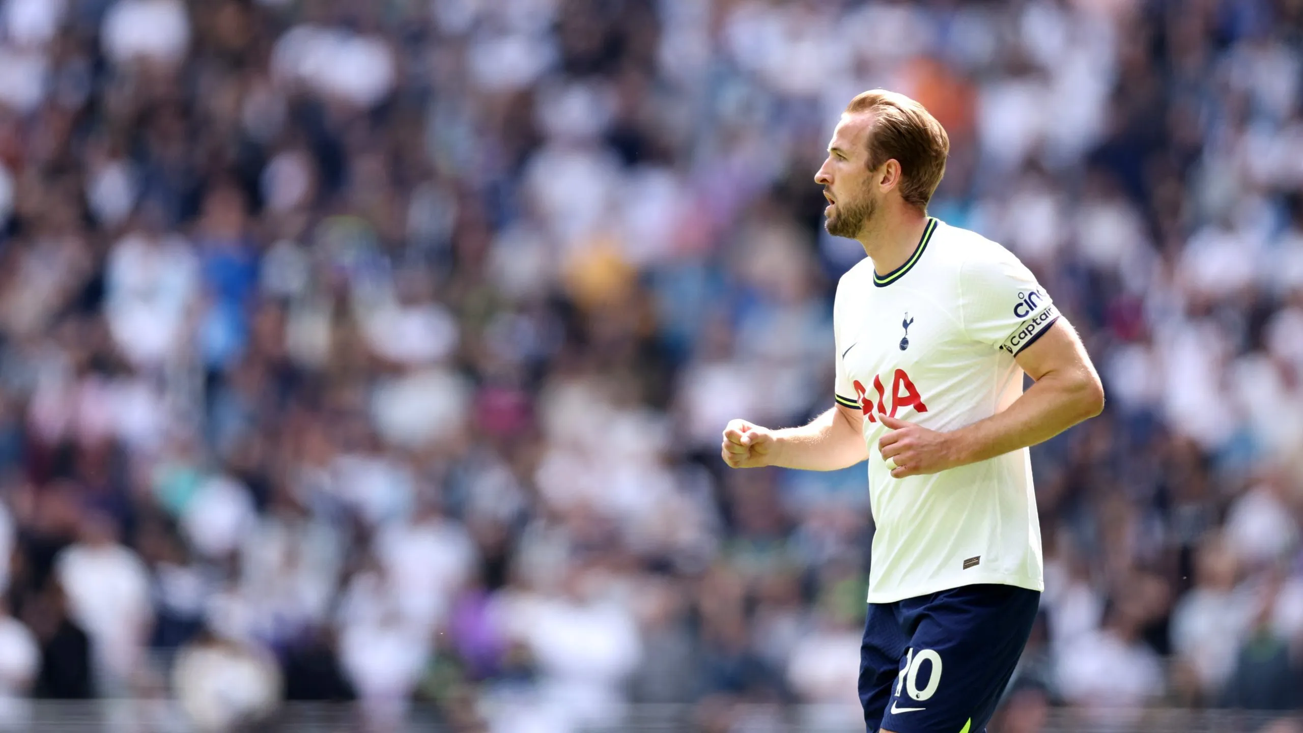 Harry Kane (Getty)