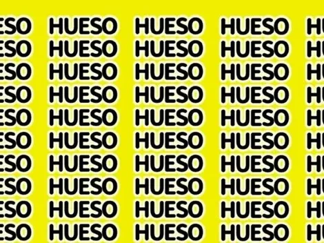 Solo apto para GALLINAS: encuentra la palabra HUEVO en 15 segundos
