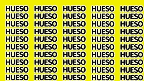 Solo apto para GALLINAS: encuentra la palabra HUEVO en 15 segundos