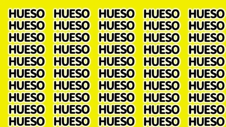 Solo apto para GALLINAS: encuentra la palabra HUEVO en 15 segundos