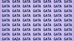 Reto viral: descubre la palabra GAZA en solamente 8 segundos