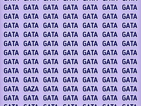 Reto viral: descubre la palabra GAZA en solamente 8 segundos