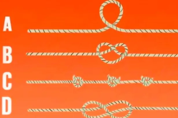 Observa la imagen y responde: ¿qué cuerda es más grande?Tu respuesta te dirá cual es tu nivel de inteligencia. | Foto: iProfesional