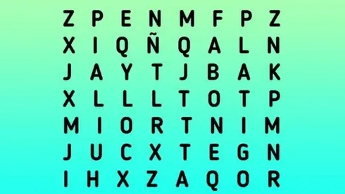 Desafío VIRAL: encuentra la palabra LÁTIGO en 20 segundos