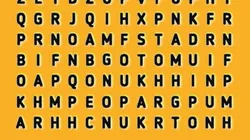 Sopa de letras NIVEL INTERMEDIO: encuentra la palabra JAGUAR en 8 segundos