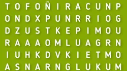 SOLO EL 3% PUDO: encuentra la palabra CARIÑO en 40 segundos