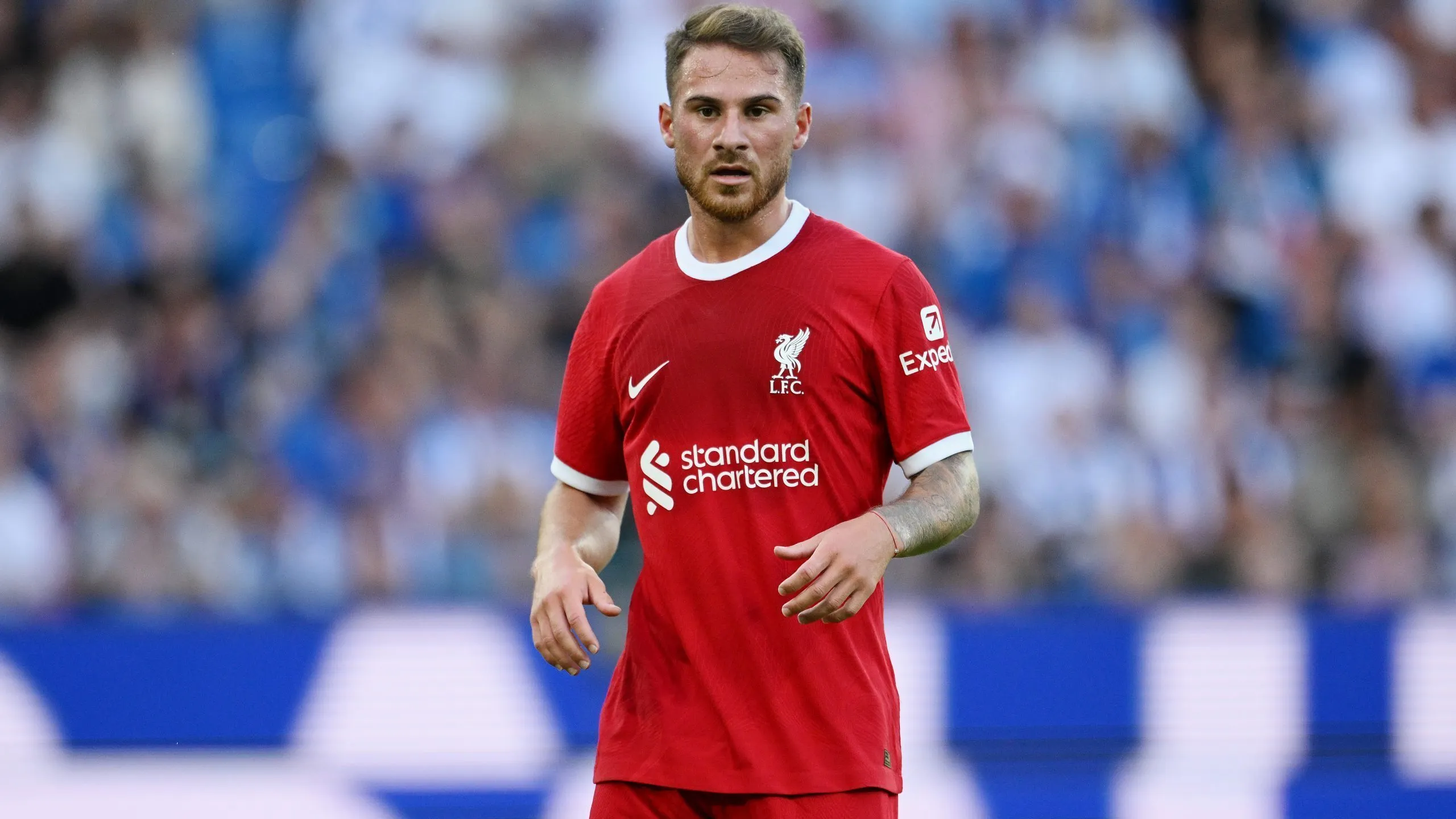 Jurgen Klopp quiere que Alexis Mac Allister sea el centro del juego del Liverpool (Photo by Matthias Hangst/Getty Images)