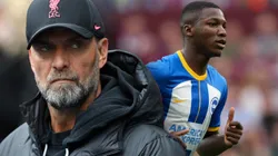 El Liverpool se interesa por Moisés Caicedo (Photo/Getty)