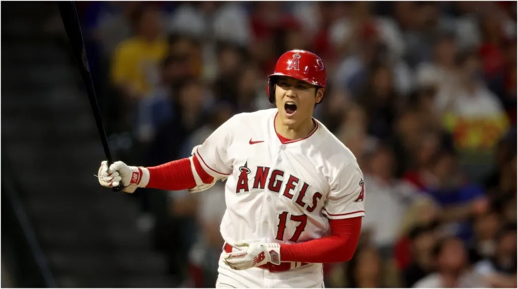 Shohei Ohtani (Foto: Sean M. Haffey | Getty Images)