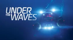 Un paseo submarino y totalmente poético: así es Under The Waves