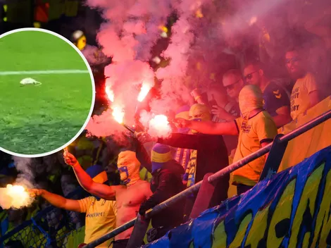 Hinchas daneses lanzan ratas muertas a la cancha