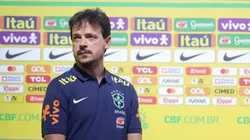 Fernando Diniz confirmó los convocados de Brasil para octubre.