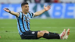 Luis Suárez dejará Gremio en diciembre y todo indica que será compañero de Lionel Messi