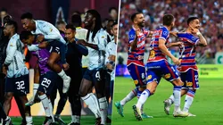 Un gato predice quién será el campeón de la Copa Sudamericana