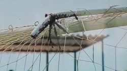 Insólito momento interrumpe el partido entre Atlético Grau vs Alianza Atlético