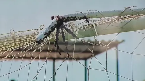 Insólito momento interrumpe el partido entre Atlético Grau vs Alianza Atlético