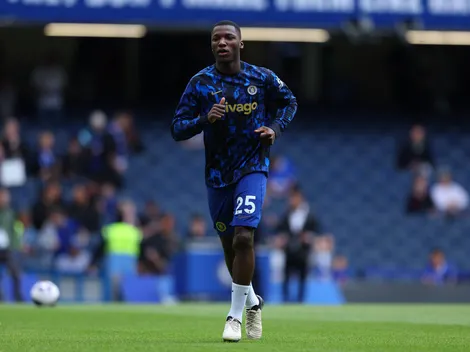 VIDEO | El viral recibimiento de los hinchas del Brighton a Moisés Caicedo