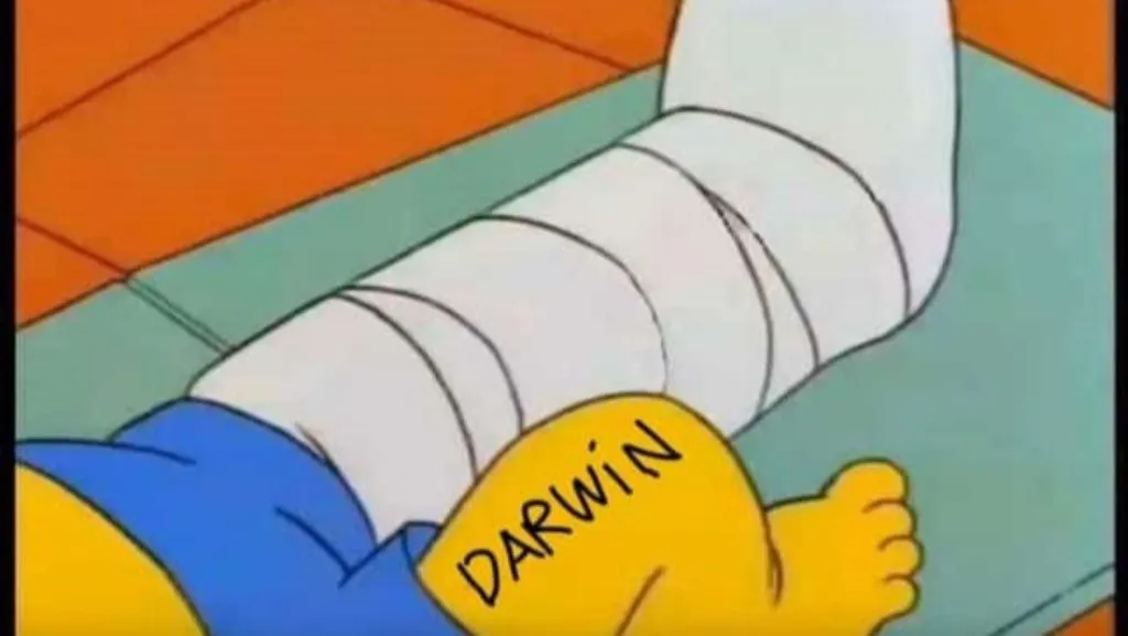 Los mejores memes de la Copa América 2024.