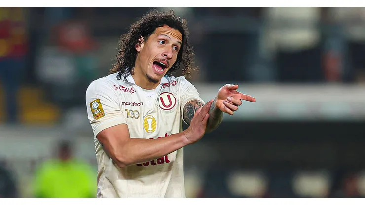 Universitario.