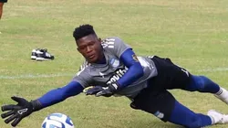 Napa involucrado en un accidente de tránsito