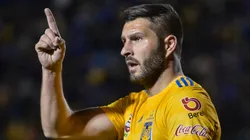 André-Pierre Gignac, delantero de Tigres