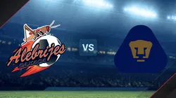 Alebrijes Oaxaca vs Pumas Tabasco por la Liga de Expansión MX.