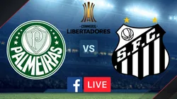 Palmeiras vs. Santos